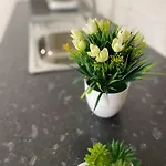 Apartament Little Place *