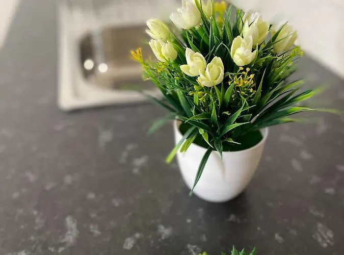 Апартаменты Little Place *